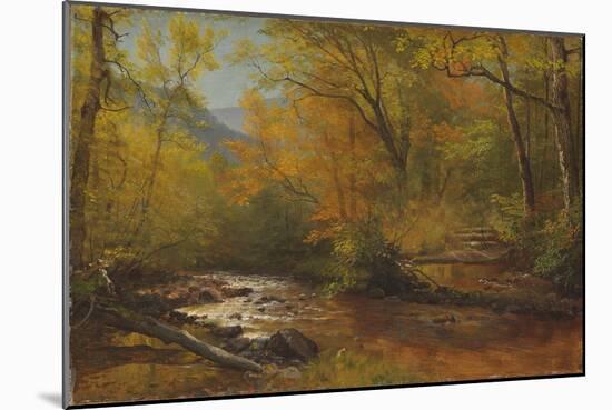 Brook in Woods-Albert Bierstadt-Mounted Giclee Print