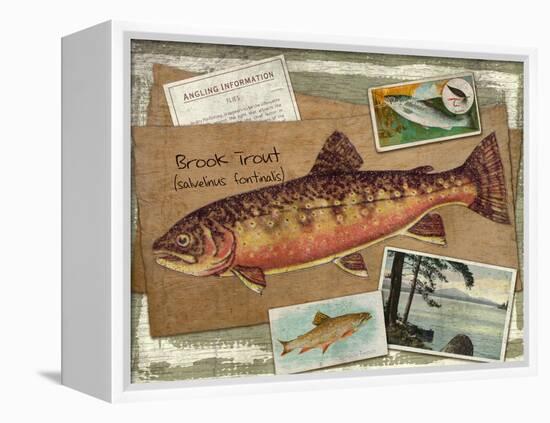 Brook Trout-Kate Ward Thacker-Framed Premier Image Canvas