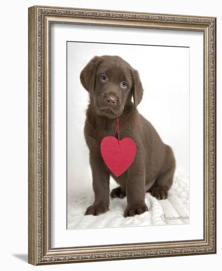 Brookby-Rachael Hale-Framed Art Print