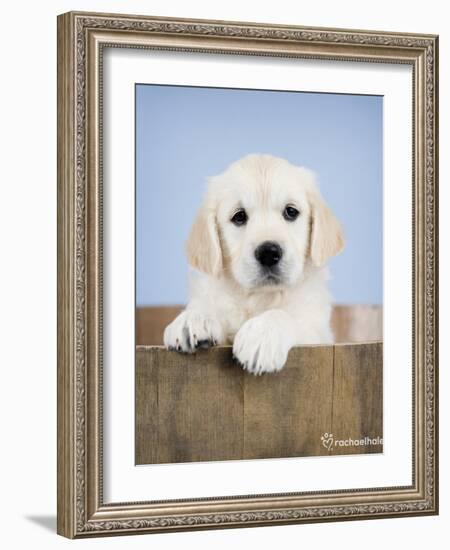 Brookby-Rachael Hale-Framed Art Print