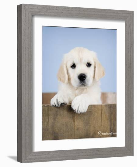 Brookby-Rachael Hale-Framed Art Print