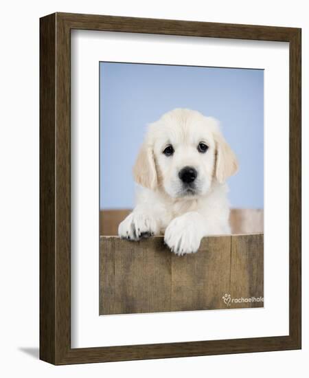 Brookby-Rachael Hale-Framed Premium Giclee Print