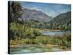 Stretched Canvas Print