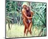 Brooke Shields - The Blue Lagoon-null-Mounted Photo