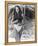 Brooke Shields-null-Framed Stretched Canvas