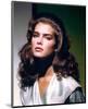 Brooke Shields-null-Mounted Photo