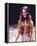 Brooke Shields-null-Framed Stretched Canvas