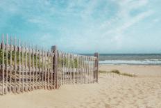 Beach at Golden Hour-Brooke T. Ryan-Photographic Print