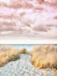 Pink and Beige Beach No.1-Brooke T. Ryan-Photographic Print