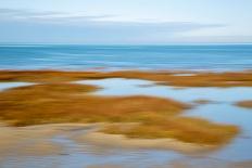 Mustard Yellow Salt Marsh-Brooke T. Ryan-Photographic Print