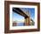 Brooklyn and Manhattan Bridges-Alan Schein-Framed Photographic Print