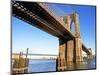 Brooklyn and Manhattan Bridges-Alan Schein-Mounted Photographic Print