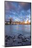 Brooklyn Bridge and Lower Manhattan/Downtown, New York City, New York, USA-Jon Arnold-Mounted Photographic Print