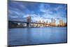 Brooklyn Bridge and Lower Manhattan/Downtown, New York City, New York, USA-Jon Arnold-Mounted Photographic Print