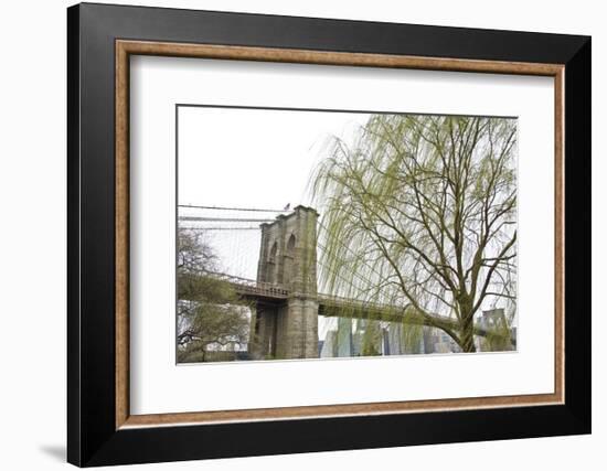 Brooklyn Bridge and Willow-Erin Clark-Framed Art Print