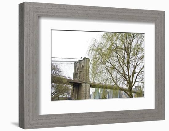 Brooklyn Bridge and Willow-Erin Clark-Framed Art Print