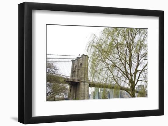 Brooklyn Bridge and Willow-Erin Clark-Framed Art Print