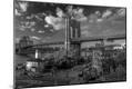 Photographic Print