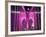 Brooklyn Bridge Lit Purple-Alan Schein-Framed Photographic Print