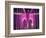 Brooklyn Bridge Lit Purple-Alan Schein-Framed Photographic Print