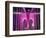 Brooklyn Bridge Lit Purple-Alan Schein-Framed Photographic Print