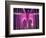 Brooklyn Bridge Lit Purple-Alan Schein-Framed Photographic Print