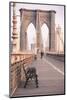 Brooklyn Bridge, New York, United States of America, North America-Amanda Hall-Mounted Photographic Print