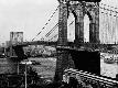 Premium Photographic Print