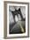 Brooklyn Bridge - Pop-Moises Levy-Framed Photographic Print