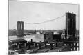 Photographic Print