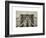 Brooklyn Bridge View-Philippe Hugonnard-Framed Art Print