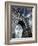 Brooklyn Bridge-Andrea Costantini-Framed Photographic Print