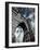 Brooklyn Bridge-Andrea Costantini-Framed Photographic Print