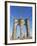 Brooklyn Bridge-Alan Schein-Framed Photographic Print