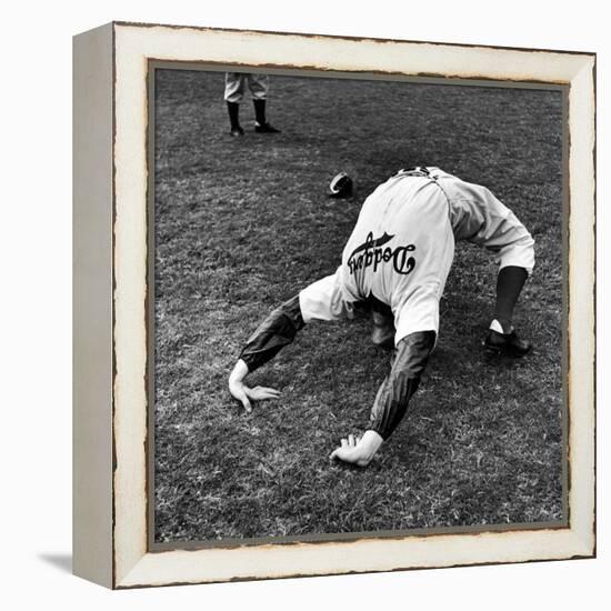 Brooklyn Dodgers Pitcher Ed Albosta Doing Stretching Exercise During Spring Training-William Vandivert-Framed Premier Image Canvas