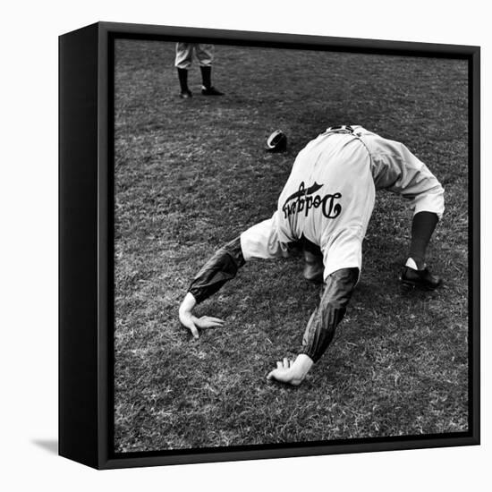 Brooklyn Dodgers Pitcher Ed Albosta Doing Stretching Exercise During Spring Training-William Vandivert-Framed Premier Image Canvas