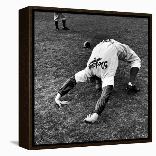 Brooklyn Dodgers Pitcher Ed Albosta Doing Stretching Exercise During Spring Training-William Vandivert-Framed Premier Image Canvas