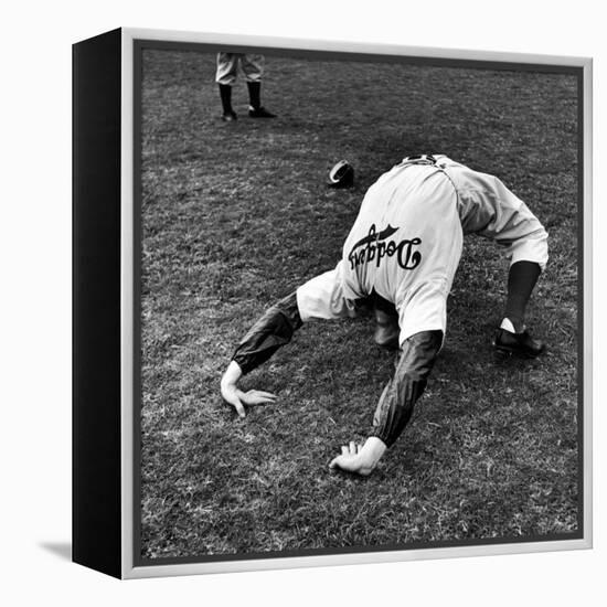 Brooklyn Dodgers Pitcher Ed Albosta Doing Stretching Exercise During Spring Training-William Vandivert-Framed Premier Image Canvas