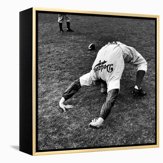 Brooklyn Dodgers Pitcher Ed Albosta Doing Stretching Exercise During Spring Training-William Vandivert-Framed Premier Image Canvas