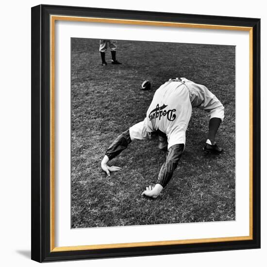 Brooklyn Dodgers Pitcher Ed Albosta Doing Stretching Exercise During Spring Training-William Vandivert-Framed Premium Photographic Print