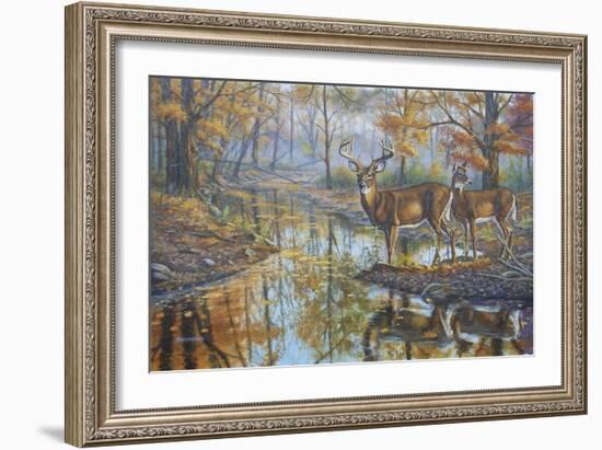 Brookside Retreat - Whitetails-Bruce Dumas-Framed Giclee Print