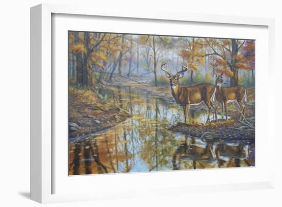 Brookside Retreat - Whitetails-Bruce Dumas-Framed Giclee Print