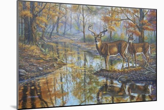 Brookside Retreat - Whitetails-Bruce Dumas-Mounted Giclee Print