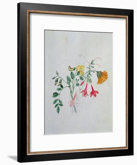 Broom and Marigolds-Caroline Louisa Meredith-Framed Giclee Print