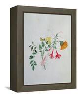Broom and Marigolds-Caroline Louisa Meredith-Framed Premier Image Canvas