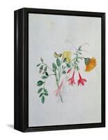 Broom and Marigolds-Caroline Louisa Meredith-Framed Premier Image Canvas