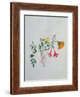 Broom and Marigolds-Caroline Louisa Meredith-Framed Giclee Print