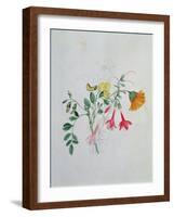 Broom and Marigolds-Caroline Louisa Meredith-Framed Giclee Print