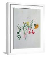 Broom and Marigolds-Caroline Louisa Meredith-Framed Giclee Print