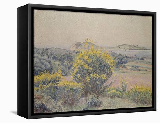 Broom, Le Brusq, 1925 (Oil on Canvas)-Lucien Pissarro-Framed Premier Image Canvas